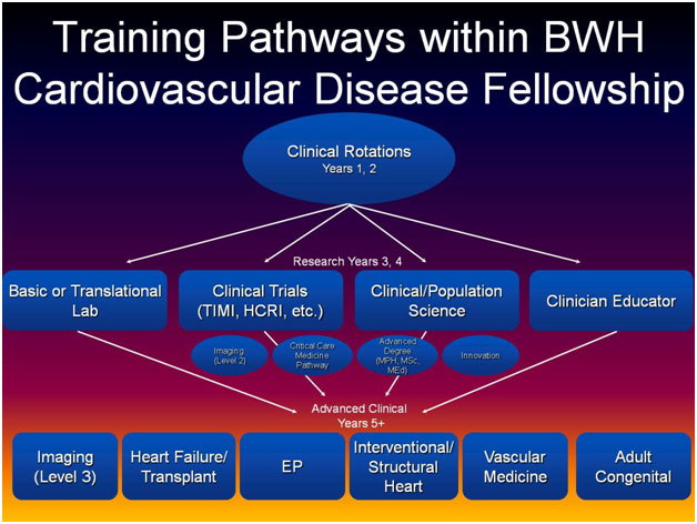 Training Pathways within BWH Cardiovascular Disease Fellowship