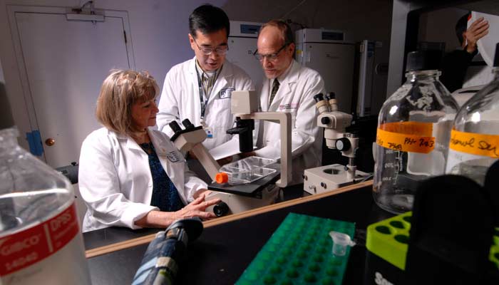 This photo is of researchers from Brigham and Women’s Hospital in a laboratory investigating stem ce