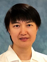 Xuefei Hong, MD