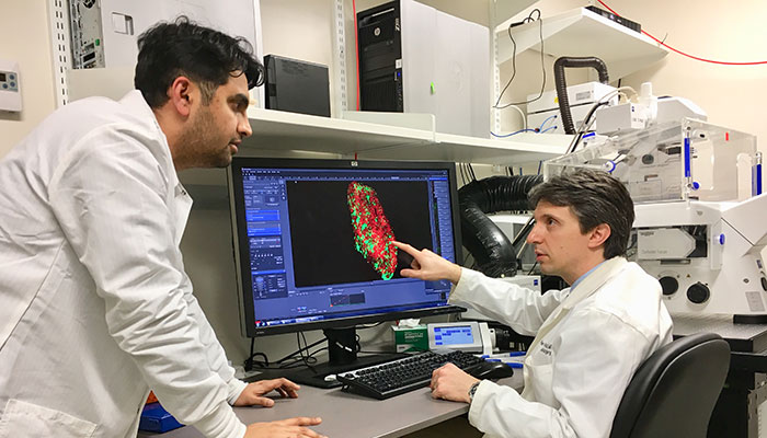 Pierpaulo Peruzzi (right), Vivek Bhaskaran (left) and colleagues focused on a group of three microRNAs