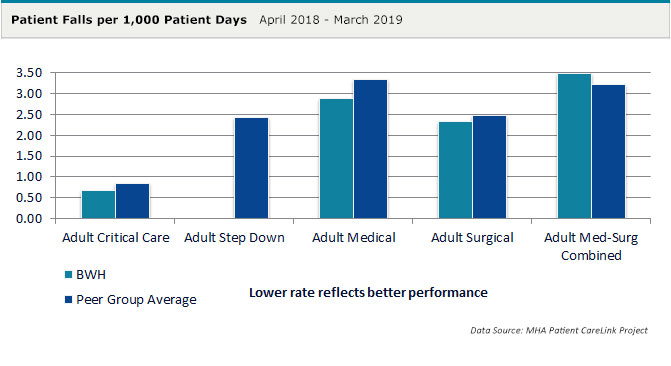 Patient Falls per 1,000 Patient Days