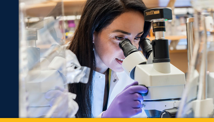 Scientist looking through lab microscope