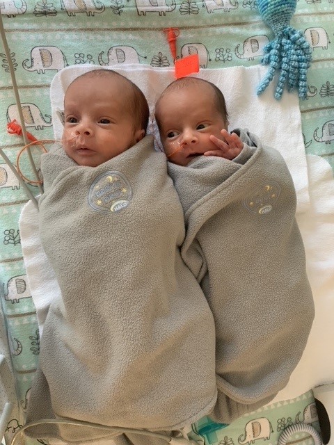 newborn babies in hospital
