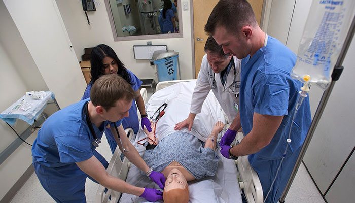 medical professionals training using mannequin
