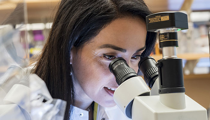 Brigham researcher looking through microscope
