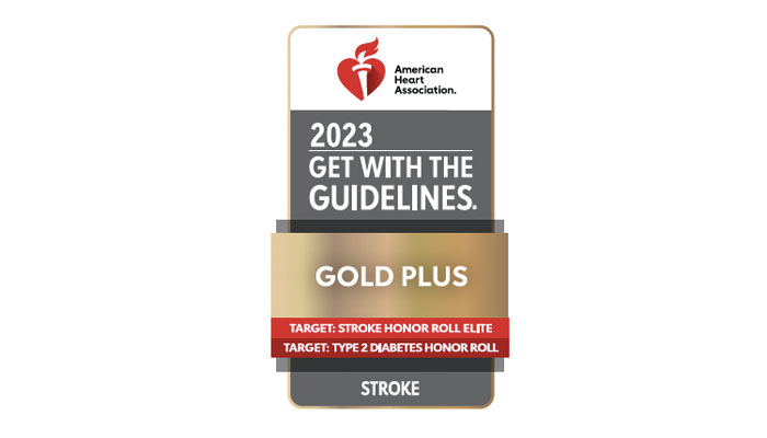 Get With The Guidelines®-Stroke, and Target: Stroke Award