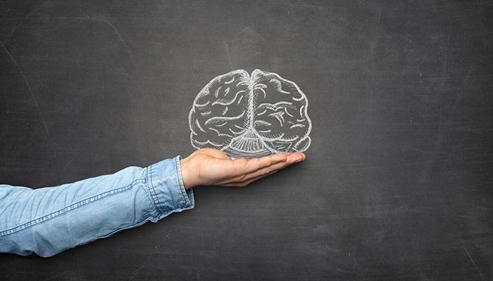 Hand hovering below chalk drawing of brain
