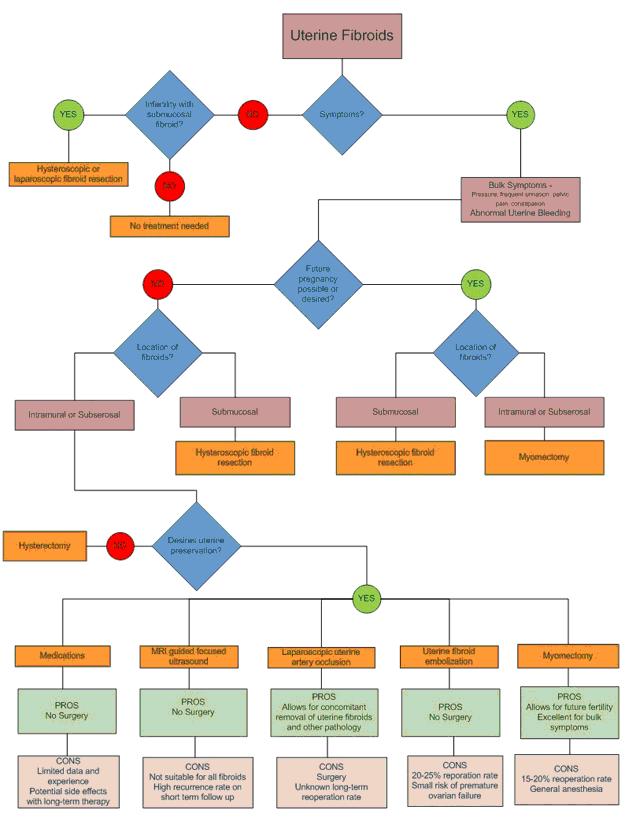 fibroid treatment decision tree