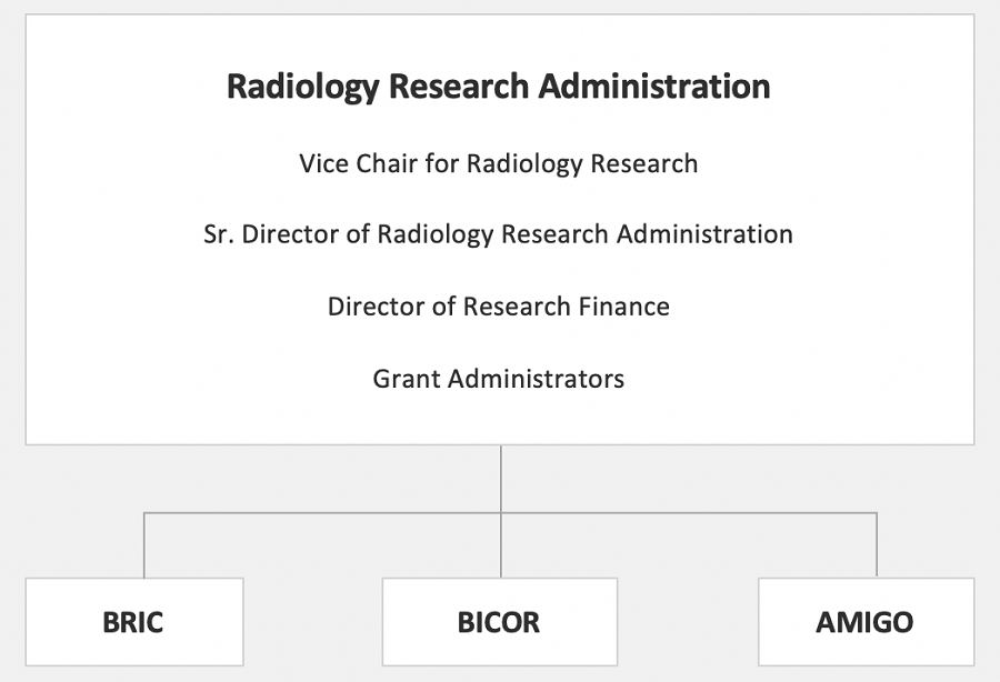 Radiology Research Organization Chart