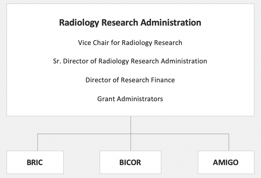 Radiology Organizational Chart